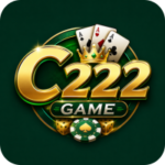 C222 Game